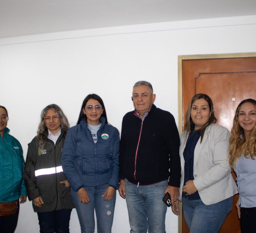 boletin305
