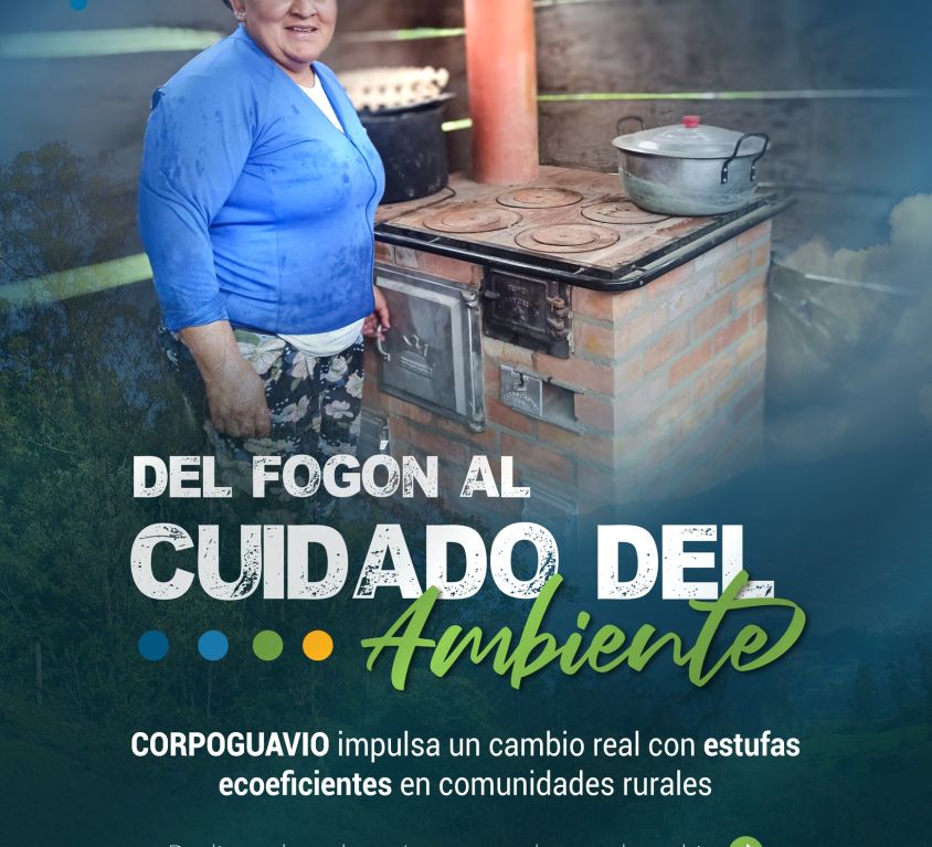 boletin308