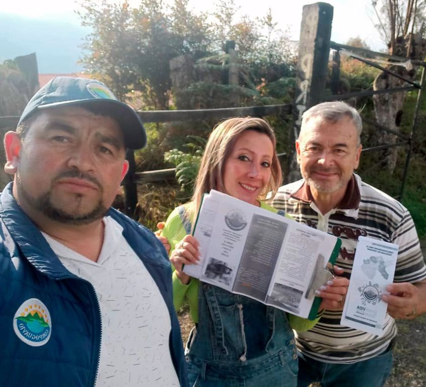 boletin317