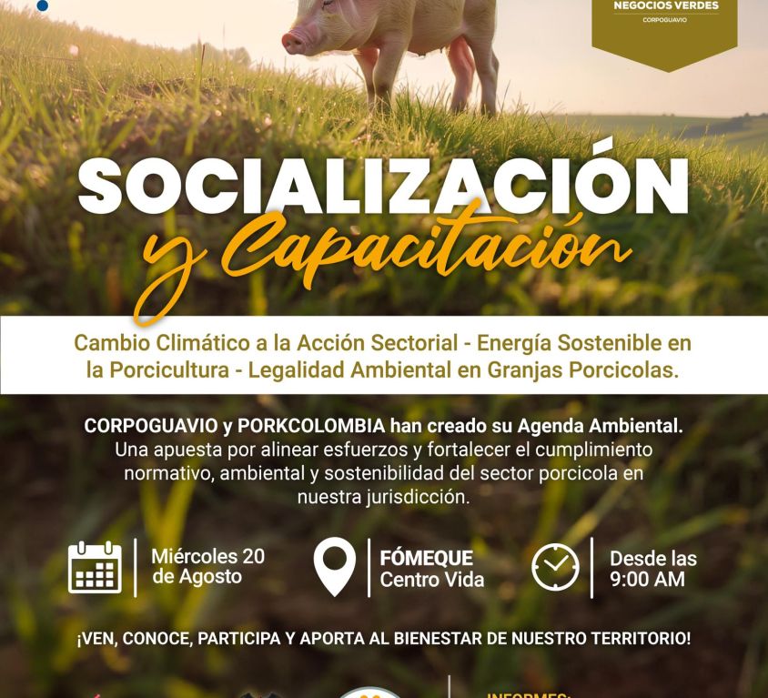 boletin346