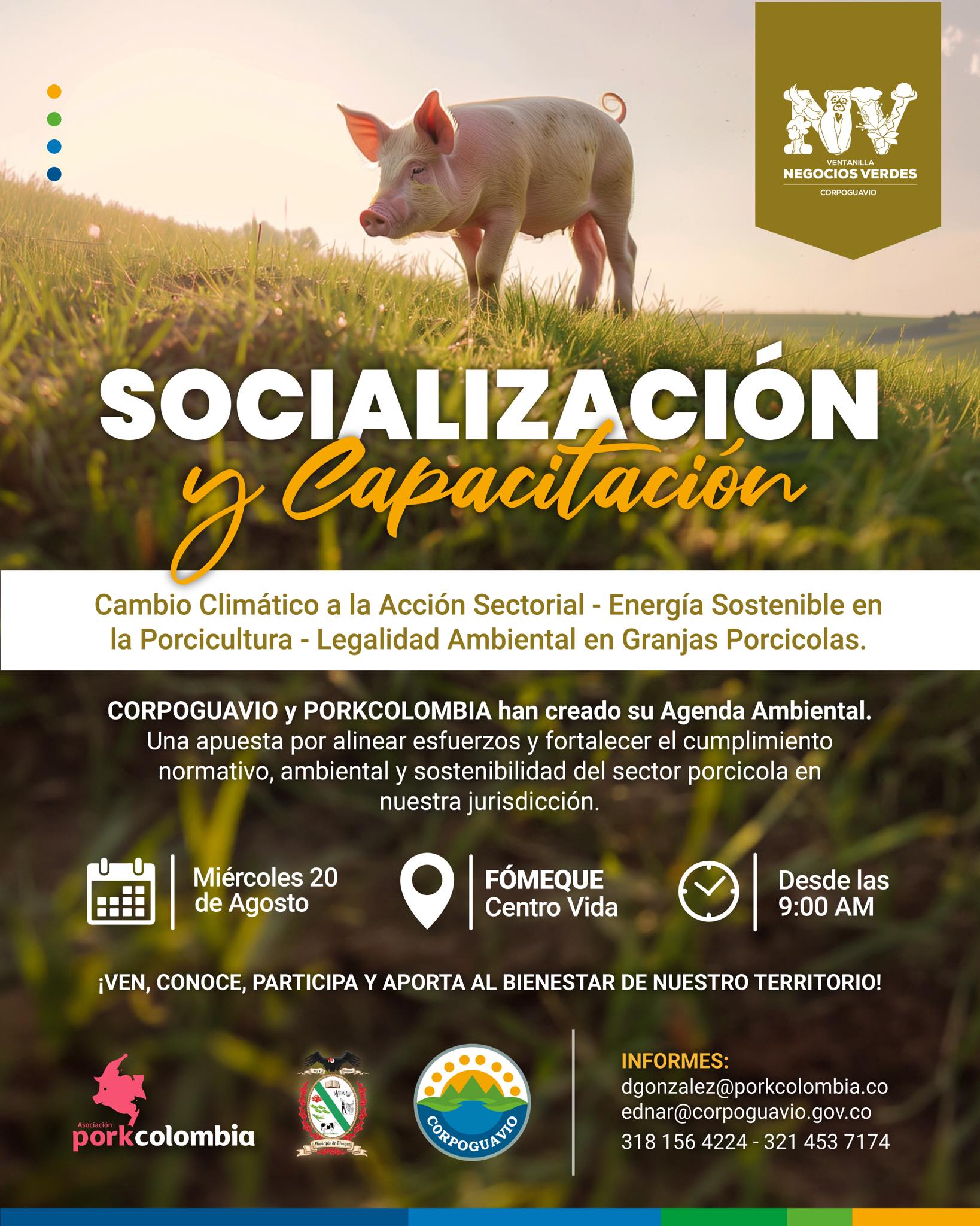boletin346