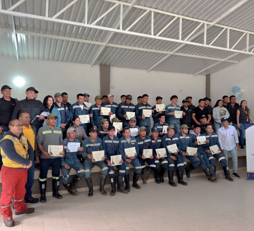 boletin347
