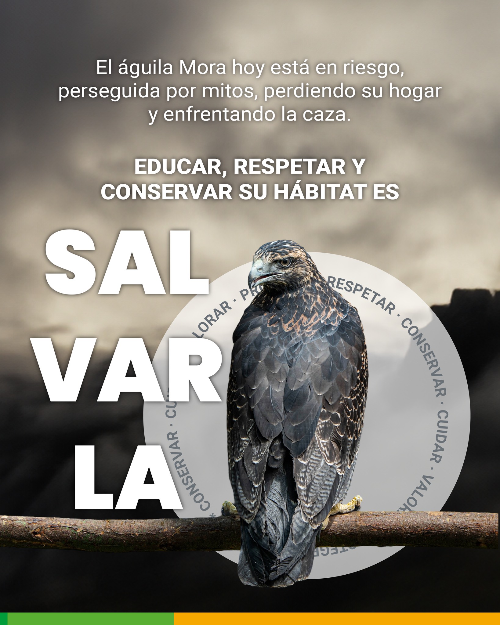 boletin350