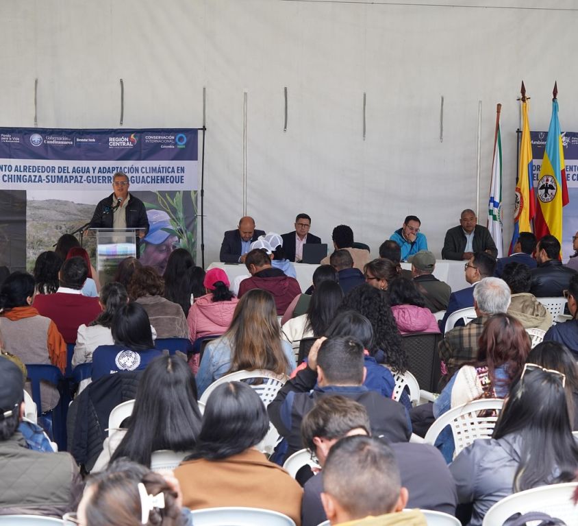 boletin351