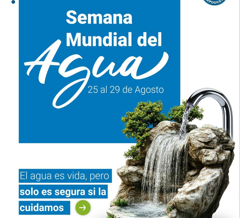 boletin357