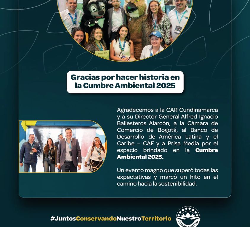 boletin384