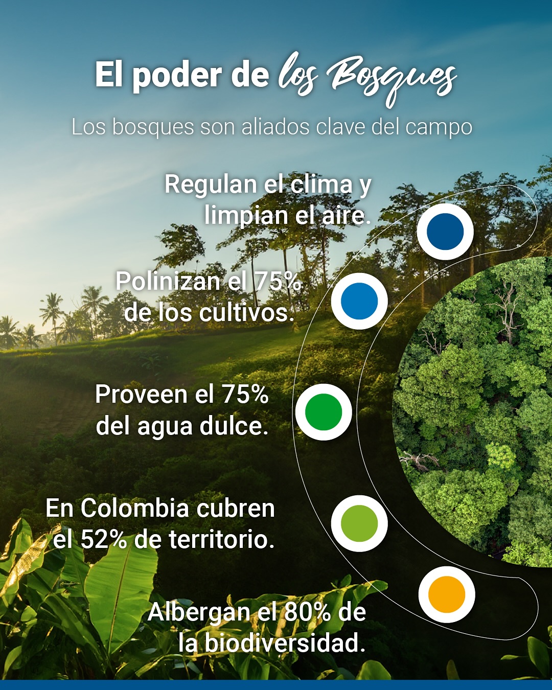 boletin394