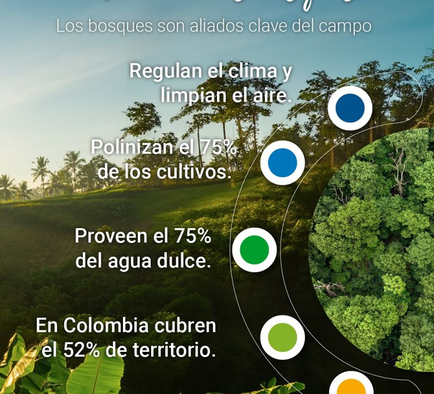 boletin394