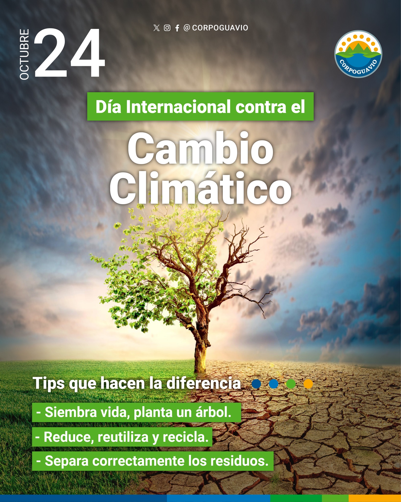 boletin461