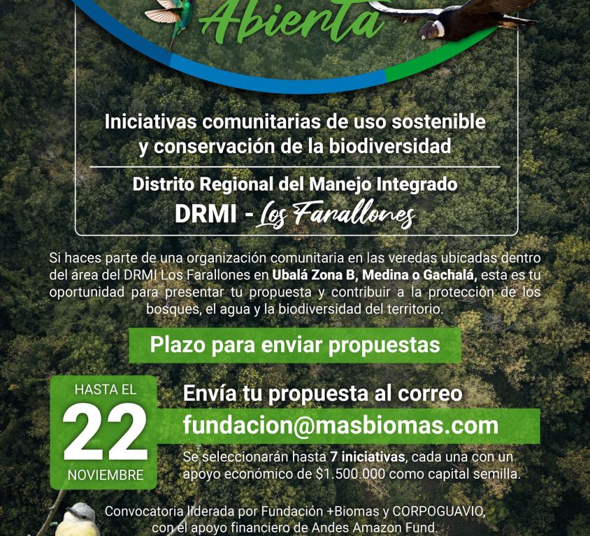 boletin490
