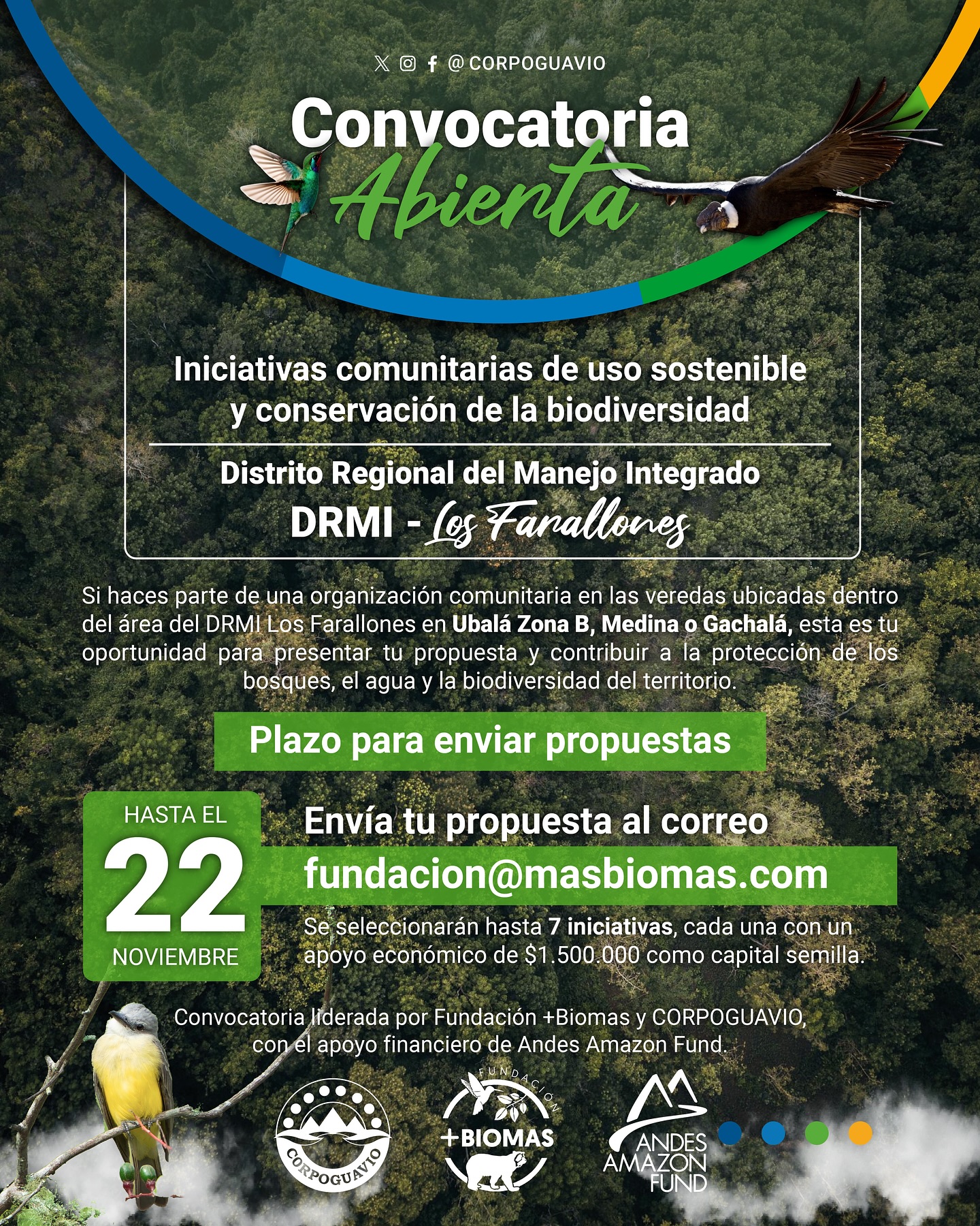 boletin490 boletin490