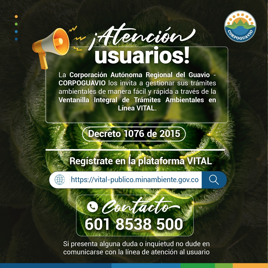 Boletin500