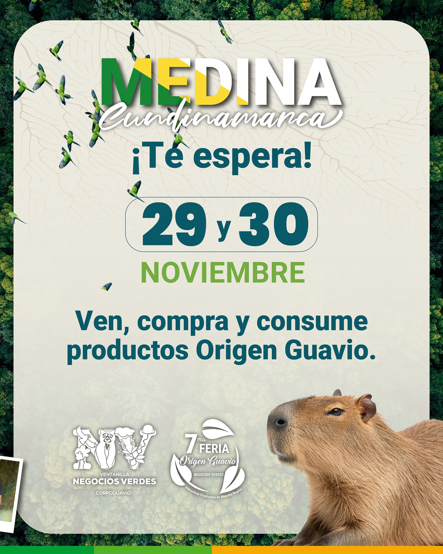 boletin516