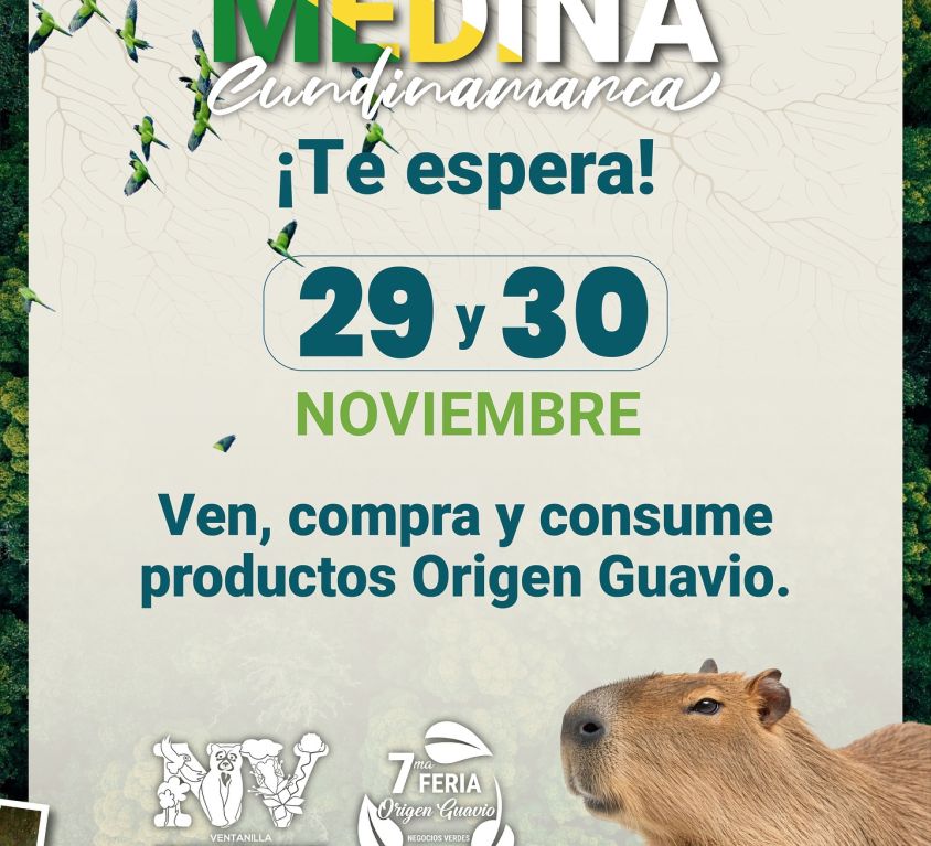 boletin516