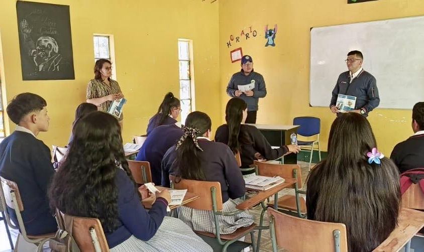 boletin517