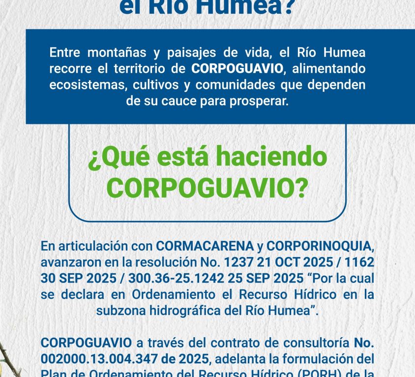 boletin518