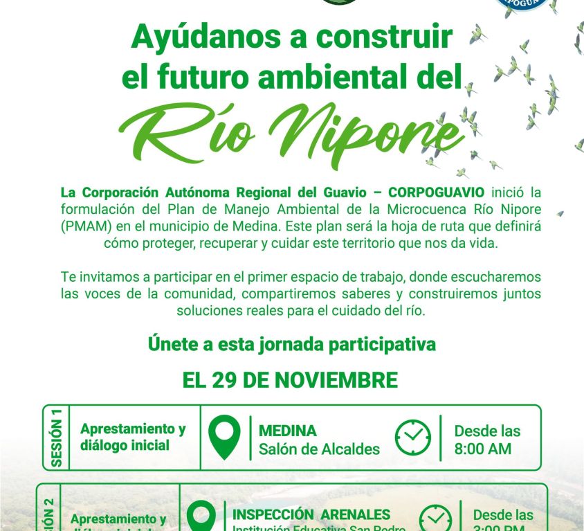 boletin523