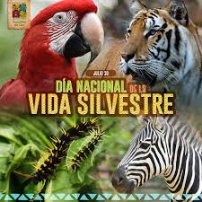Vida Silvestre