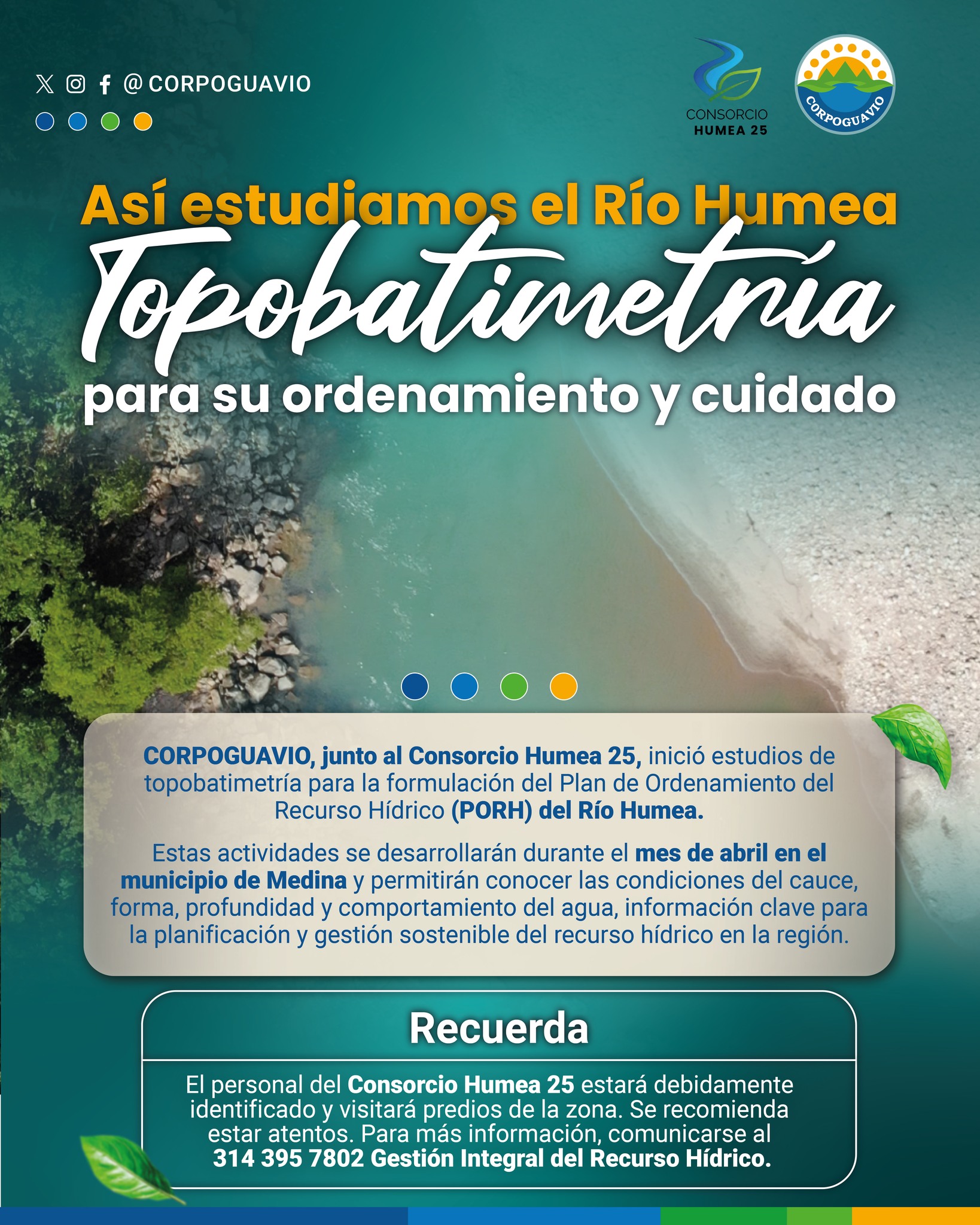 boletin95