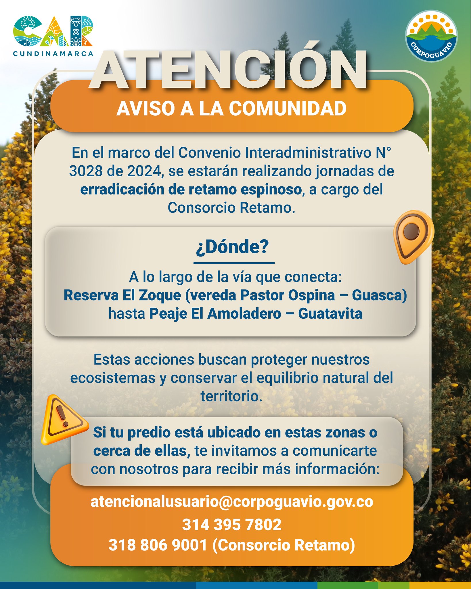 boletin121