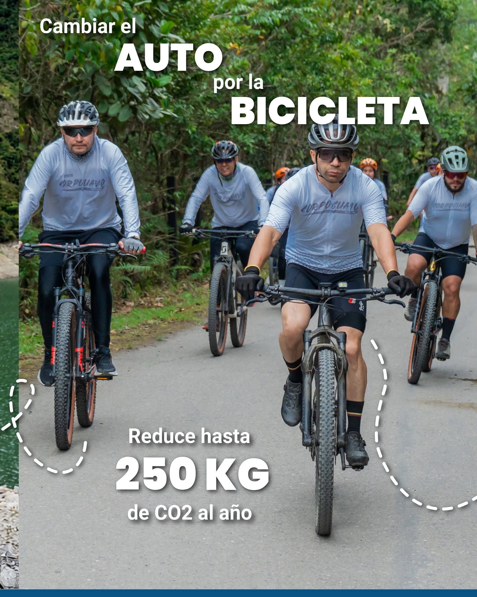 boletin163