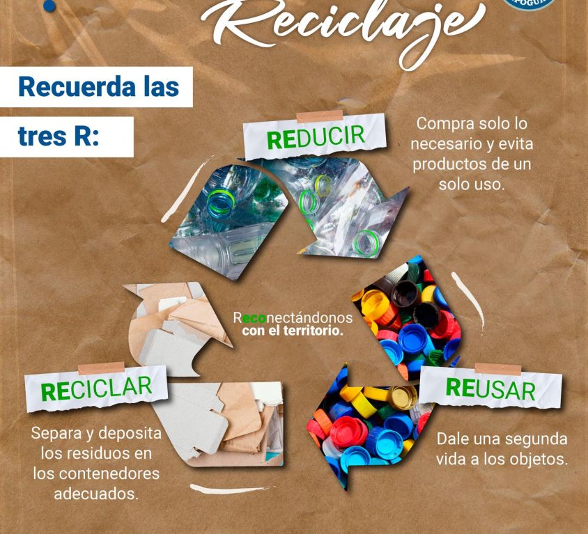 boletin139