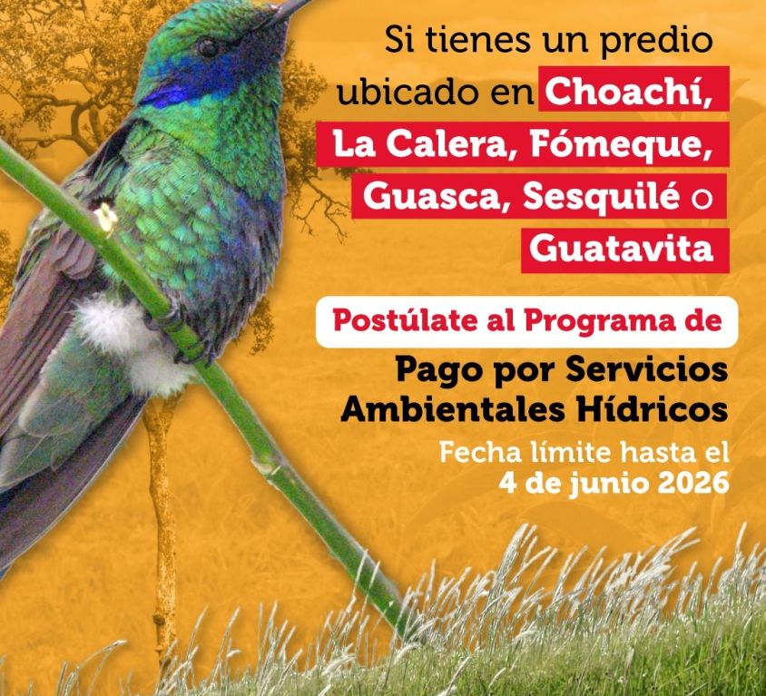 boletin144