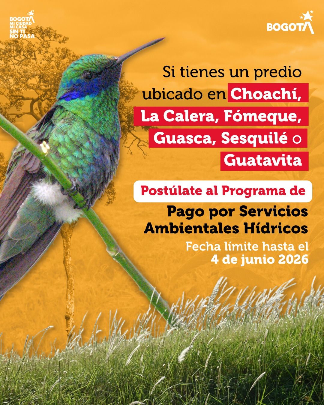 boletin144