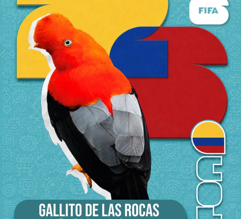 boletin