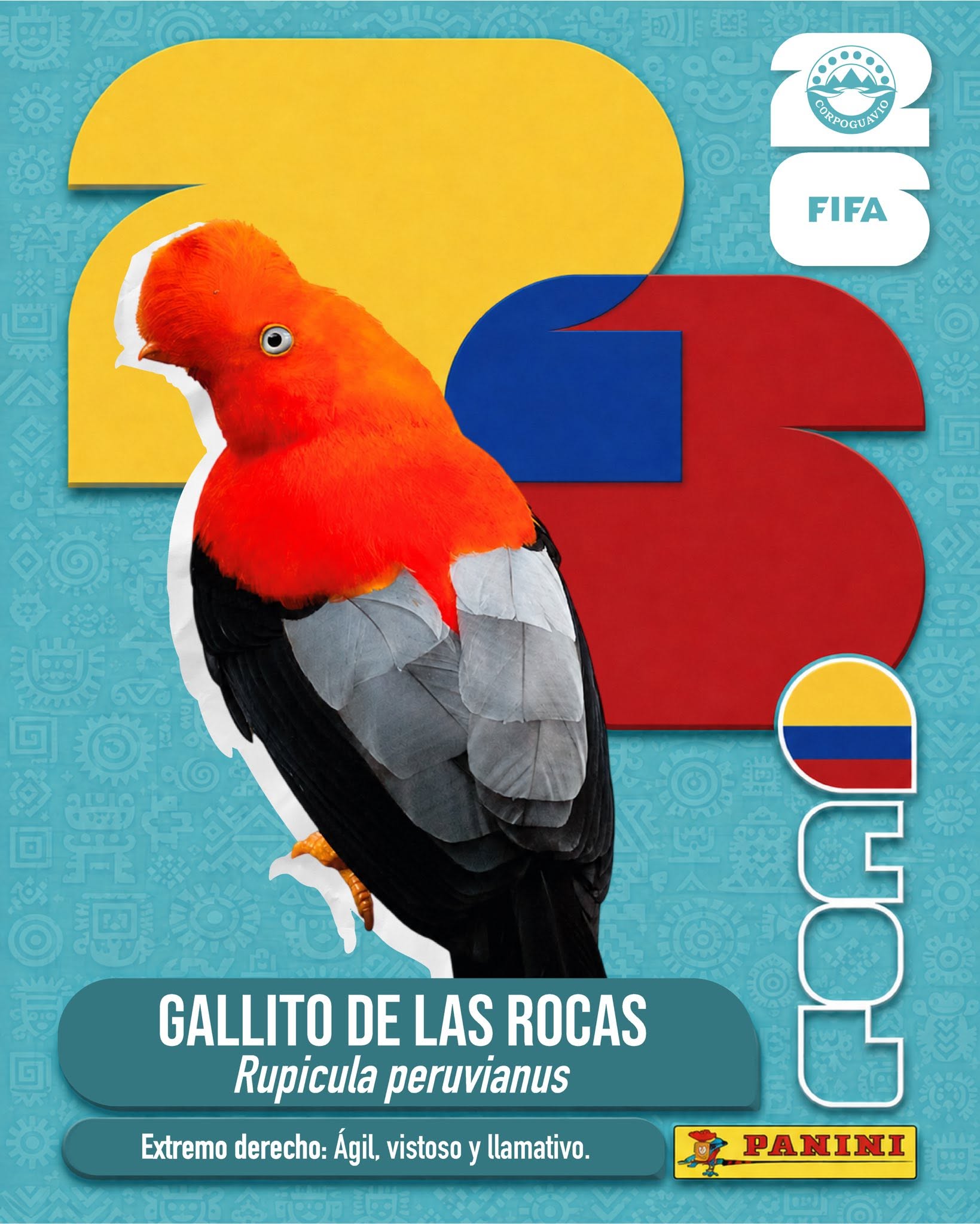 boletin