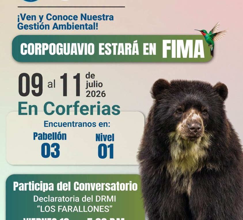 Boletin 206