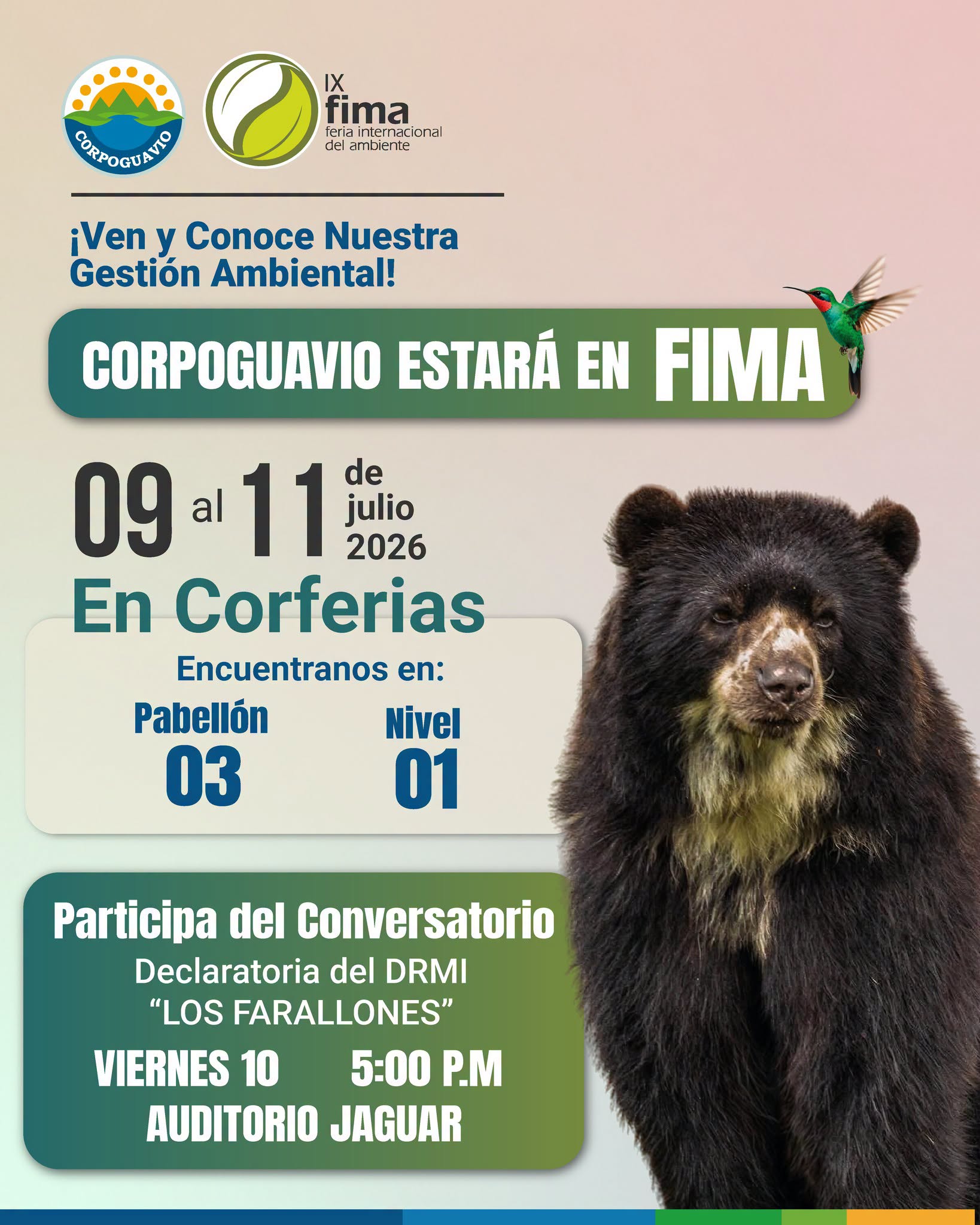 Boletin 206