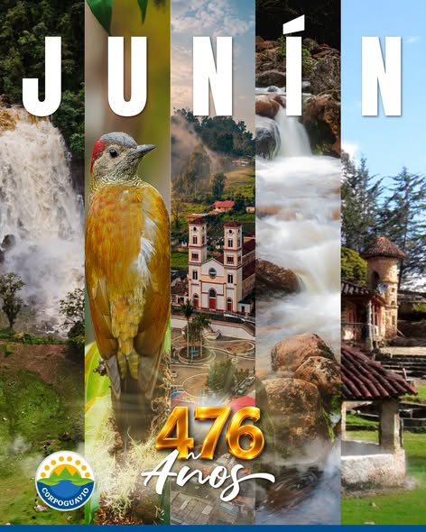 boletin235