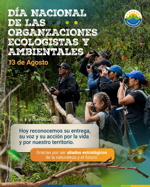 boletin236 boletin236