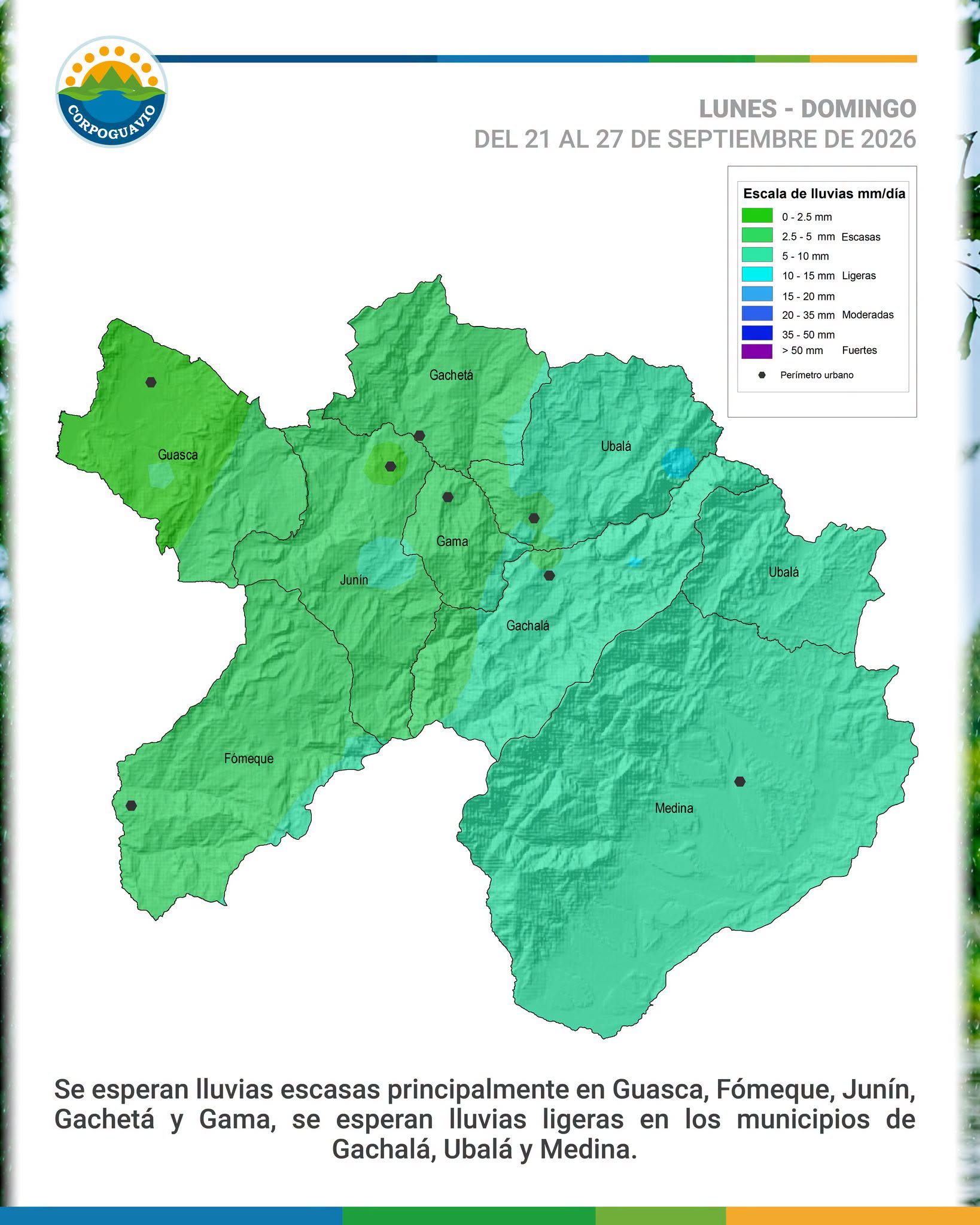 boletin266