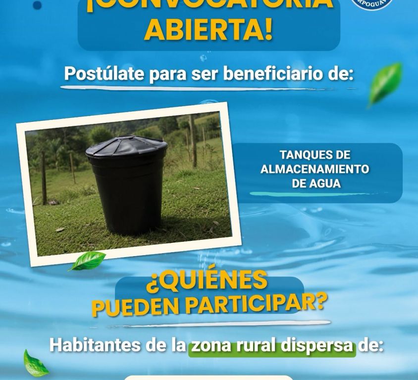 Boletin 275